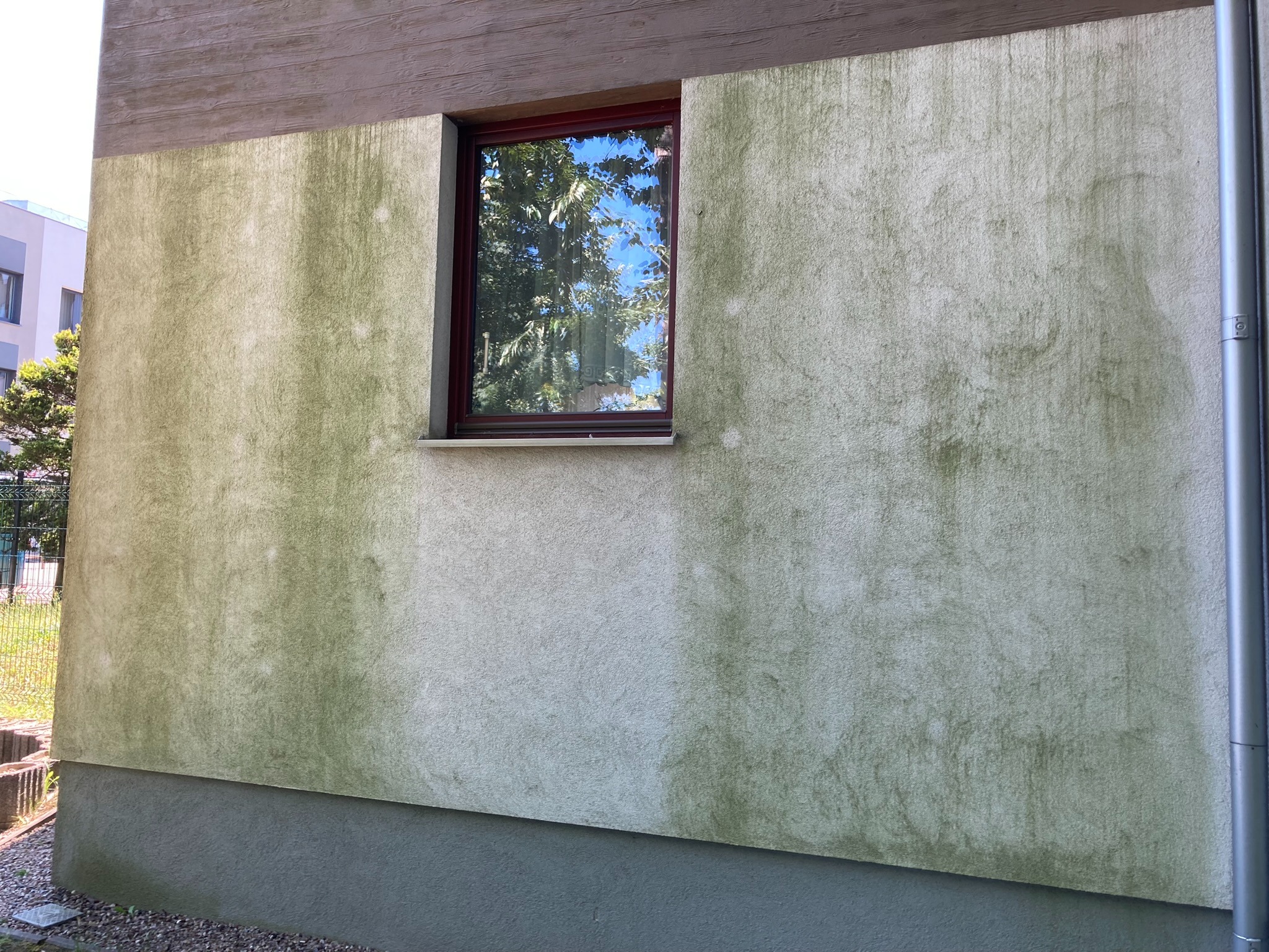 Fragment elewacji budynku z wyraźnym kontrastem między czystą a zabrudzoną powierzchnią, widoczne ślady biologicznego porażenia, okno z ciemną ramą odbijające drzewa.