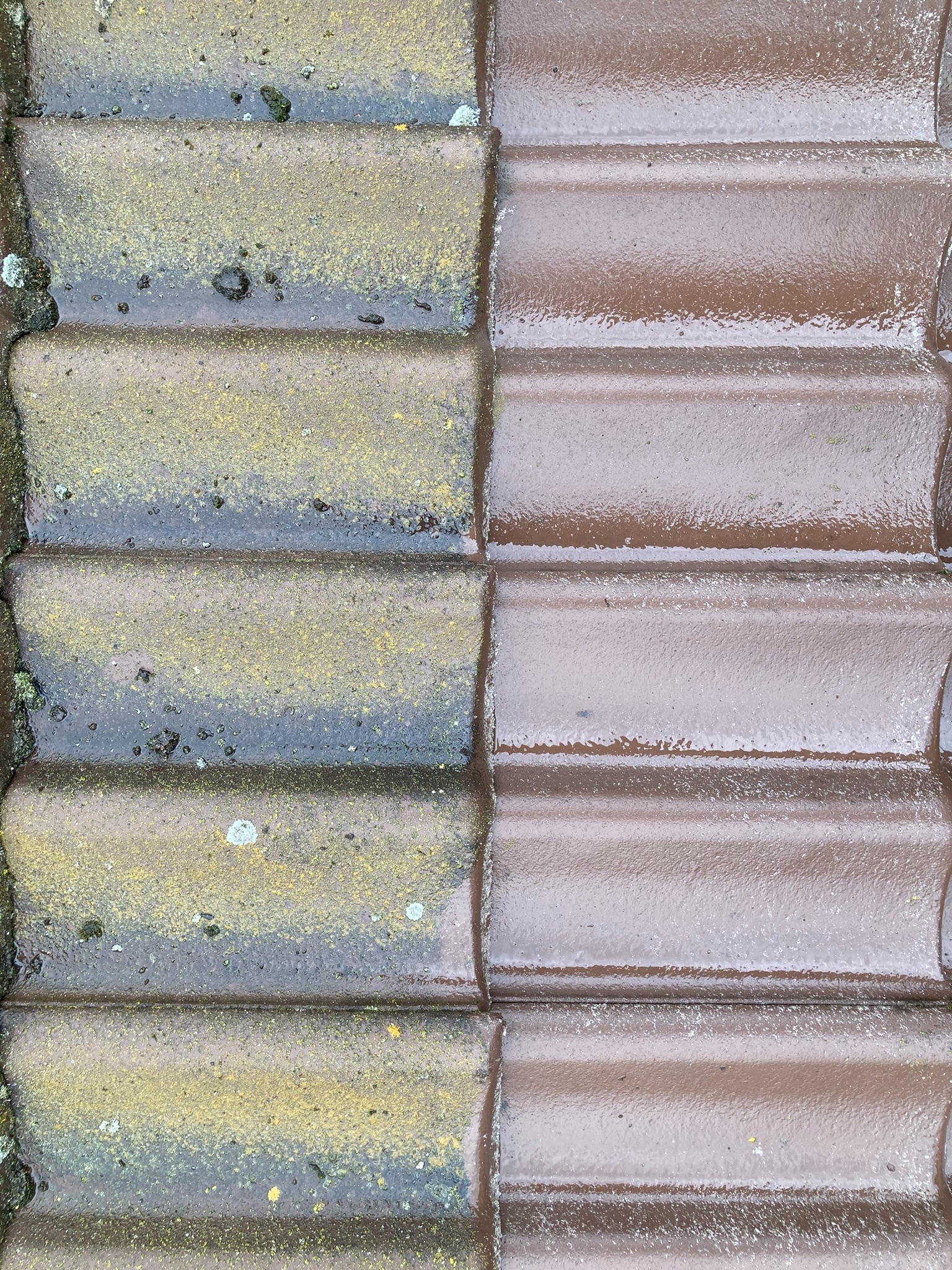 Porównanie: Połowa brudnych, mokrych dachówek pokrytych mchem i algami, druga połowa czysta, mokra, w kolorze brązowym.