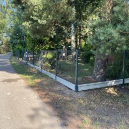 PanelExpress Ogrodzenia - Nowoczesne ogrodzenie z siatki z podmurówką betonową, widok z boku ścieżki, otoczone drzewami iglastymi i liściastymi.