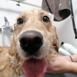 Usługi kosmetyczne i fryzjerskie Słupsk 2