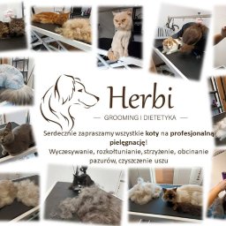 Zapraszamy właścicieli kotów ze Słupska i okolic :)