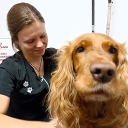 Usługi kosmetyczne i fryzjerskie Słupsk 3