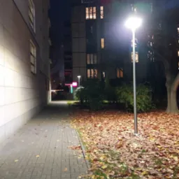 Nocny widok na chodnik z kostki brukowej, obsypany jesiennymi liśćmi, oświetlony przez uliczną lampę LED, z budynkami mieszkalnymi w tle.