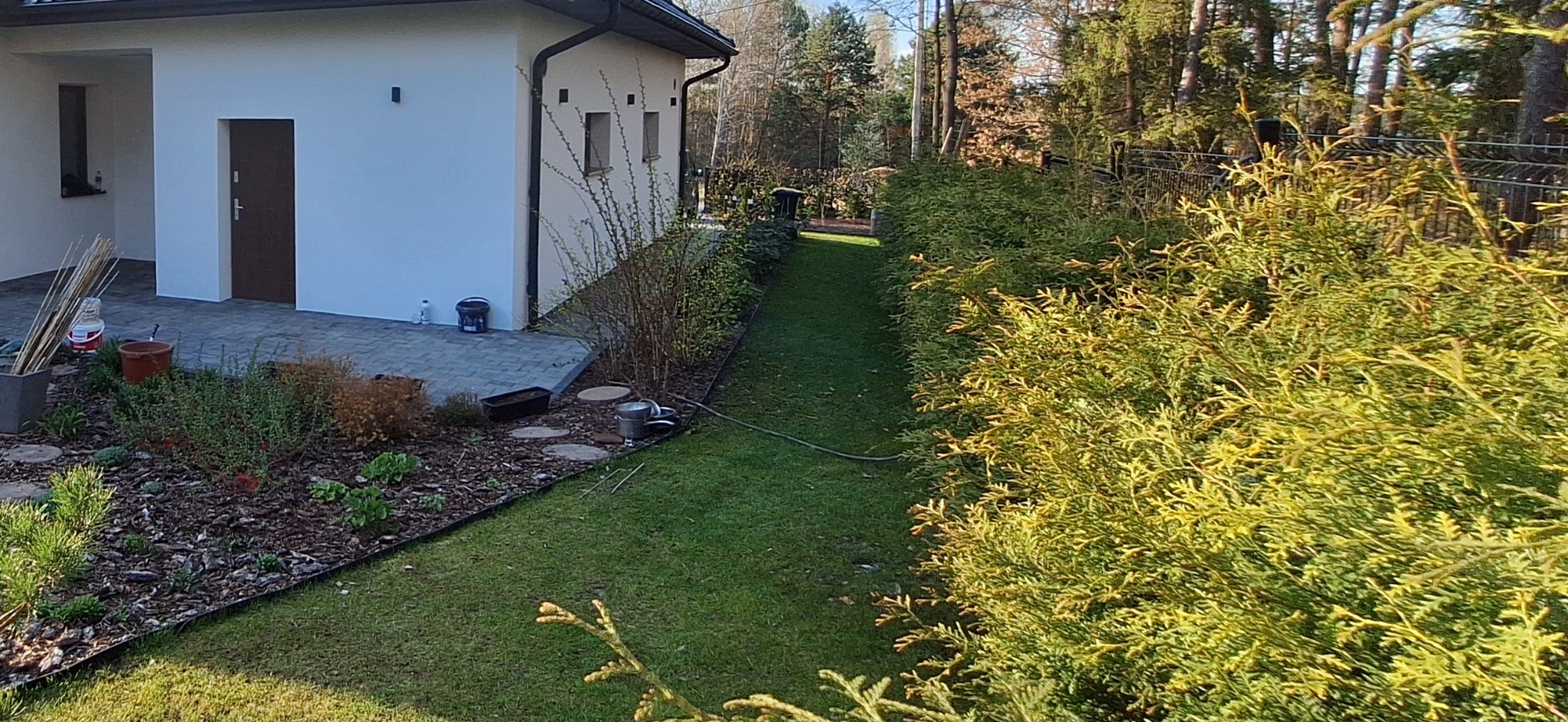 Nowoczesny dom z jasną elewacją, brązowymi drzwiami wejściowymi i zadbanym ogrodem z tujami wzdłuż ogrodzenia, widoczne narzędzia ogrodnicze i wiadro farby.