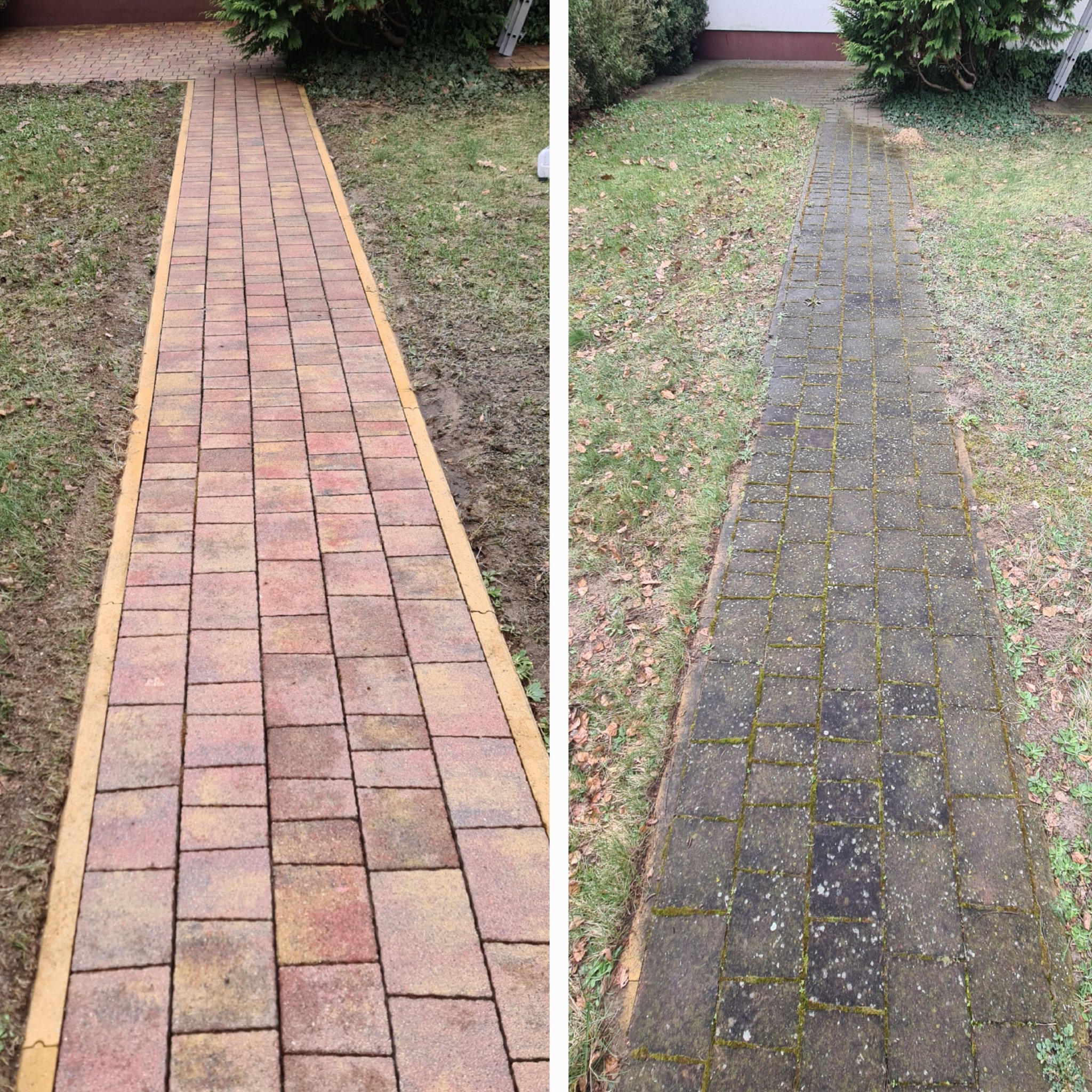 Porównanie stanu kostki brukowej przed i po czyszczeniu: po lewej stronie świeżo wyczyszczona, czerwono-brązowa kostka z żółtą obwódką, po prawej stronie brudna, szara kostka porośnięta mchem.