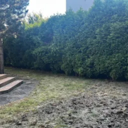 Widok na ogród z tujami tworzącymi żywopłot, z fragmentem trawnika pokrytego korą i schodami z brązowych płytek.