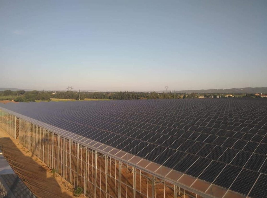 Rozległa farma paneli słonecznych z metalową konstrukcją wsporczą w tle krajobrazu z drzewami i wzgórzami pod błękitnym niebem.