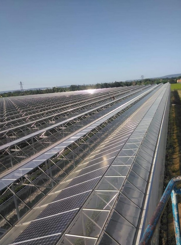 Rozległa szklarnia z panelami słonecznymi na dachu, widok z góry, błękitne niebo w tle.