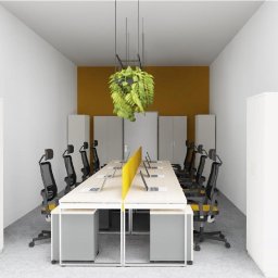 Adaptacja projektu Nowe Osiny 4