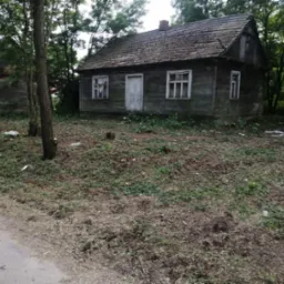 Stary, drewniany domek z odpadami po wycince drzew w otoczeniu, widoczne ścięte pnie i resztki gałęzi na trawie.