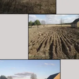 Wyczyszczenie pola na plony