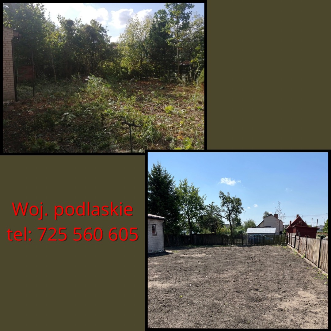 Kompleksowe prace porządkowe .