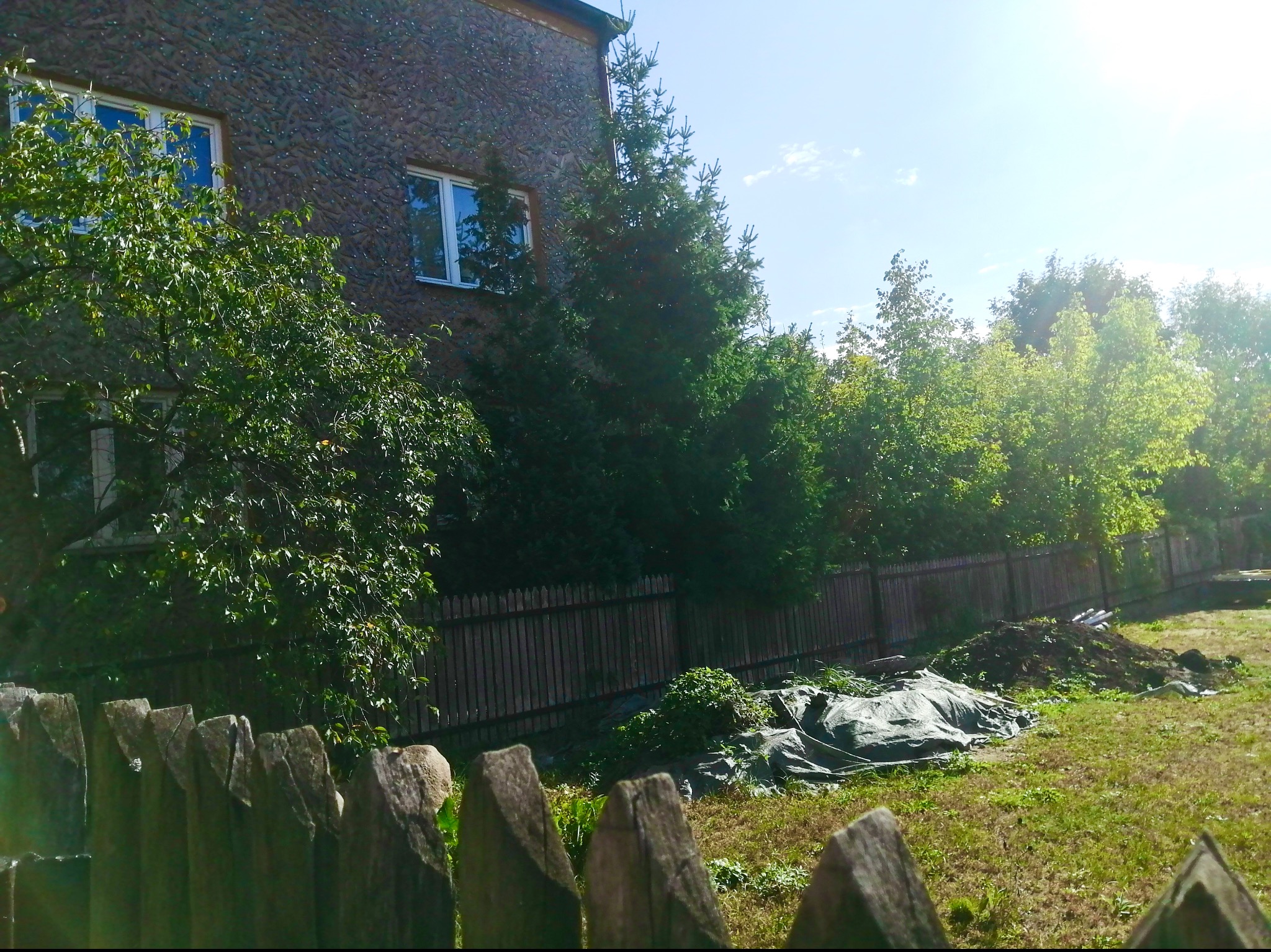 Przygotowanie terenu pod trawnik: ziemia przykryta plandeką, widok zza drewnianego płotu, w tle budynek i drzewa.