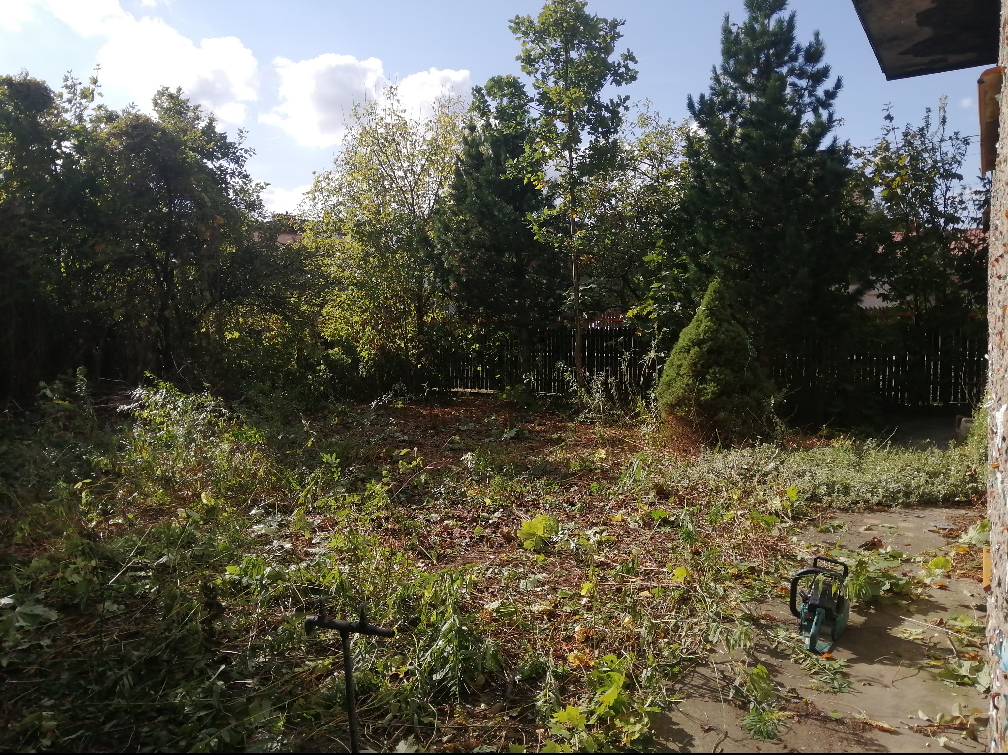 Teren po wycince i przycinaniu drzew z pozostawionymi gałęziami i liśćmi, widoczna piła łańcuchowa i fragment narzędzia ogrodniczego.