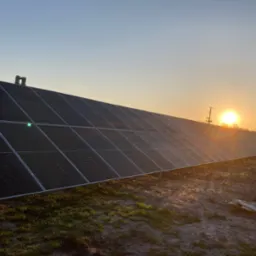 Rząd paneli słonecznych na tle wschodzącego słońca, widoczne słupy elektryczne w oddali, teren przygotowany pod instalację.