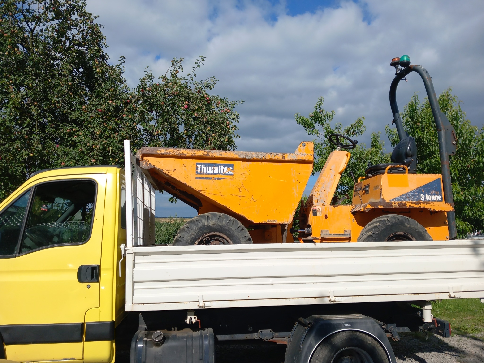 Żółta wywrotka Thwaites 3-tonowa załadowana na białą platformę ciężarówki na tle zielonych drzew owocowych i błękitnego nieba z chmurami.