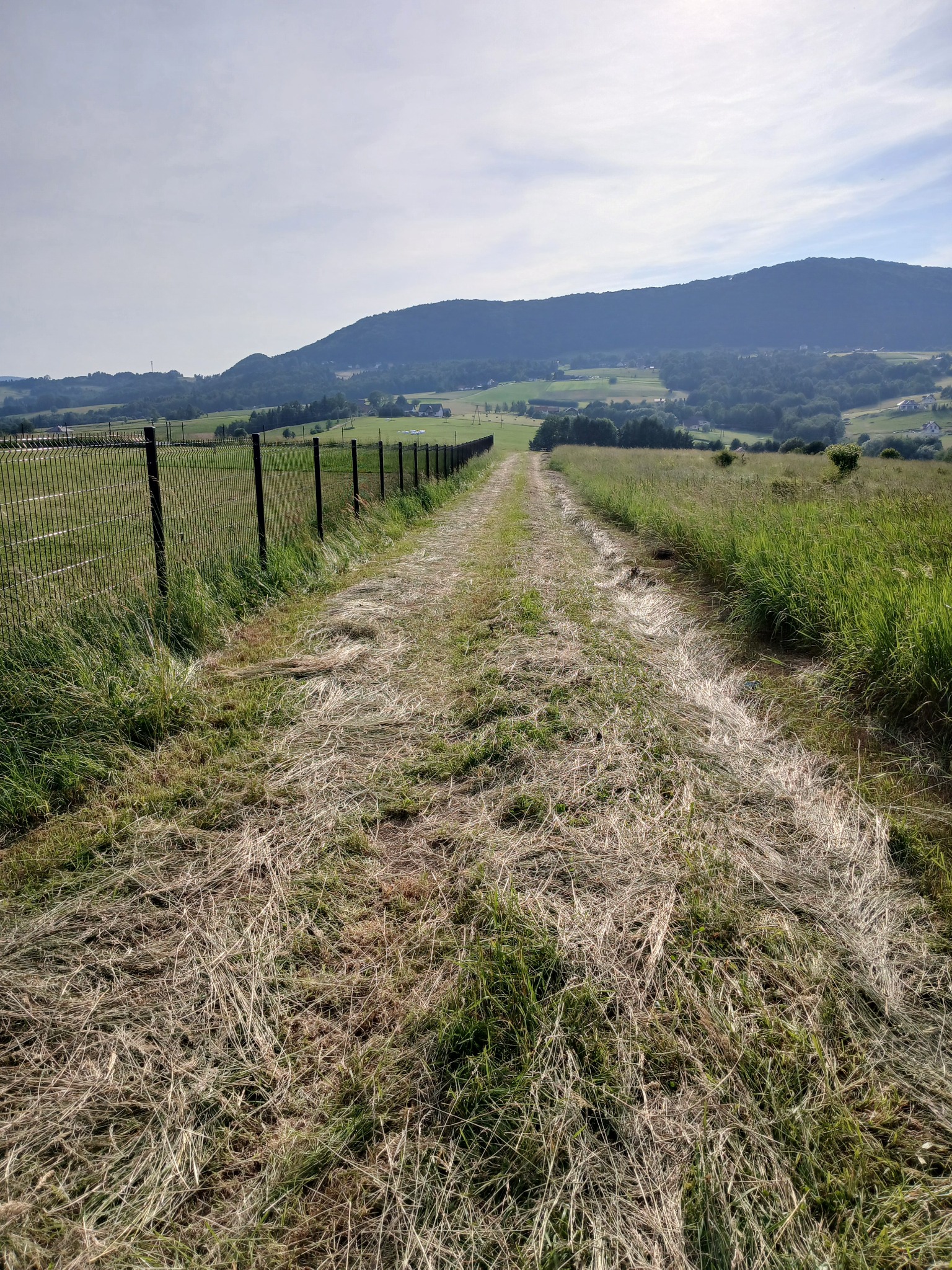 Polna droga w Bieczu, z wykoszoną trawą, prowadząca w kierunku zalesionych wzgórz. Po lewej stronie widoczne ogrodzenie z siatki.