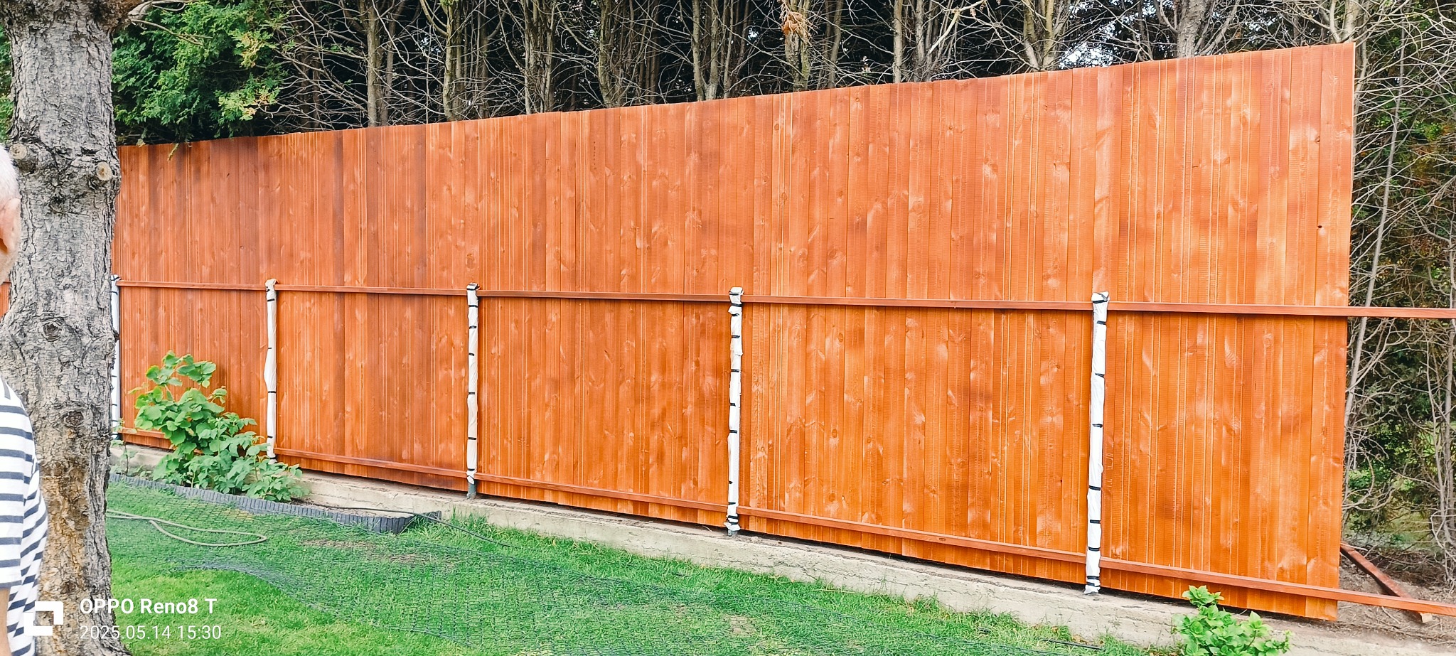 Nowy, pomalowany na brązowo drewniany płot z metalowymi poprzeczkami i białymi osłonami słupków, widoczny z perspektywy trawnika. W tle drzewa.