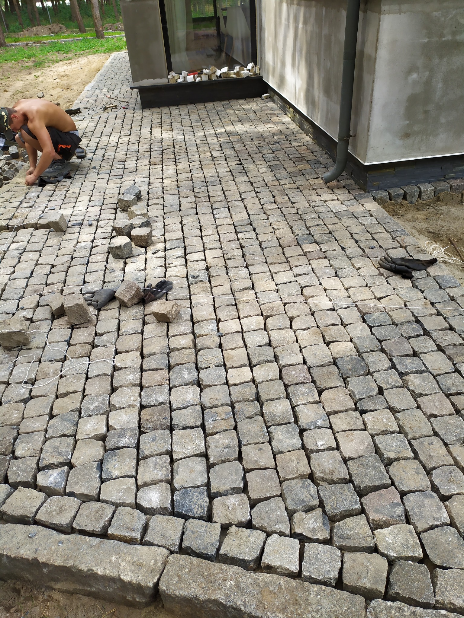 Mężczyzna w trakcie układania szarej kostki brukowej na posesji, widoczne narzędzia, rękawice i rozciągnięta linka wyznaczająca linię.