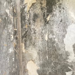 Mateusz Warot - Narożnik ściany z resztkami starej tapety i widocznymi śladami szpachlowania. Szara, chropowata powierzchnia z odrywającymi się fragmentami papieru.