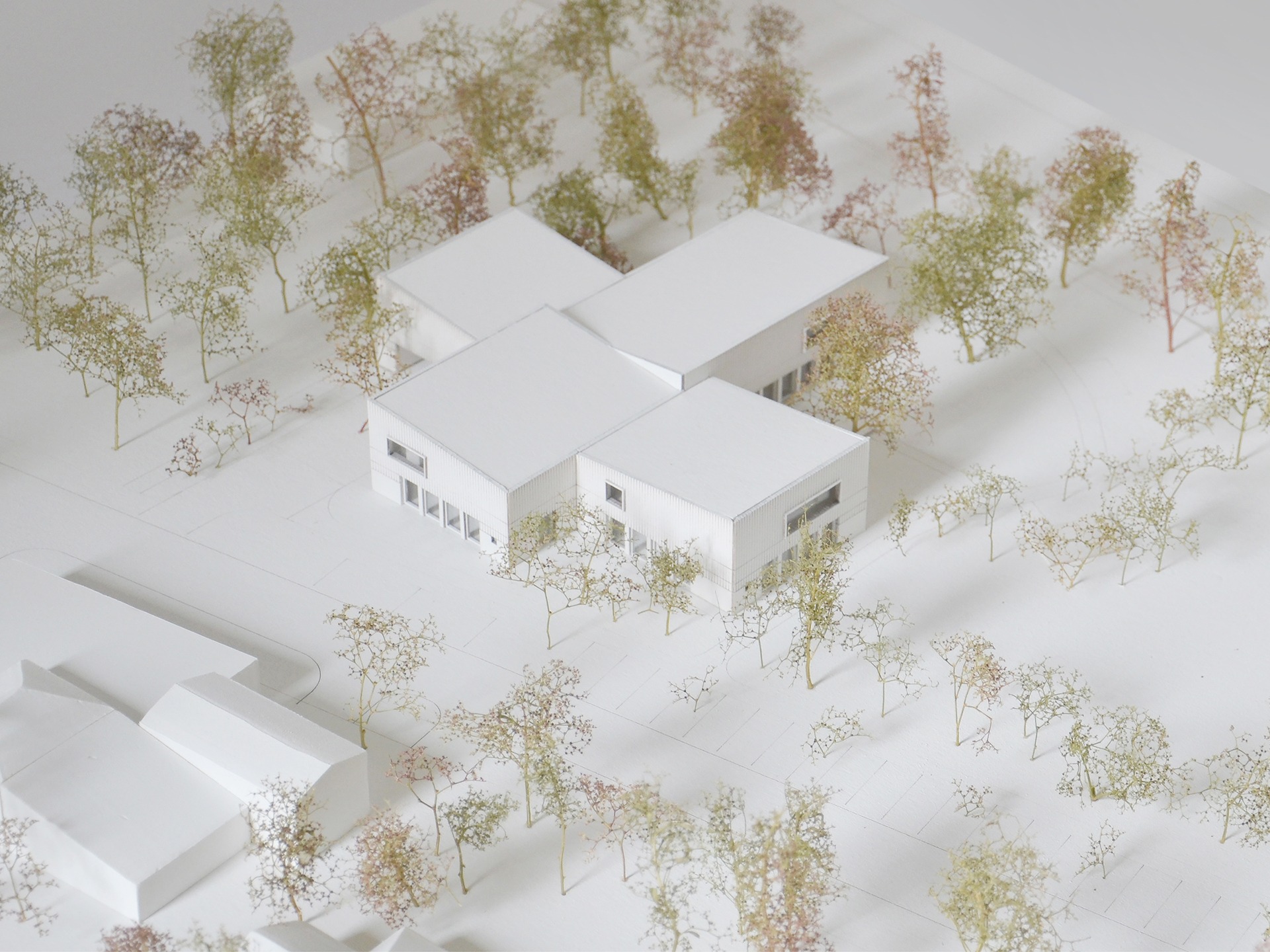 Architektoniczna makieta budynku usługowego otoczonego drzewami, prezentowana w Gdańsku. Model z białego kartonu, ukazujący bryłę budynku z oknami i otaczający teren z miniaturowymi drzewami.