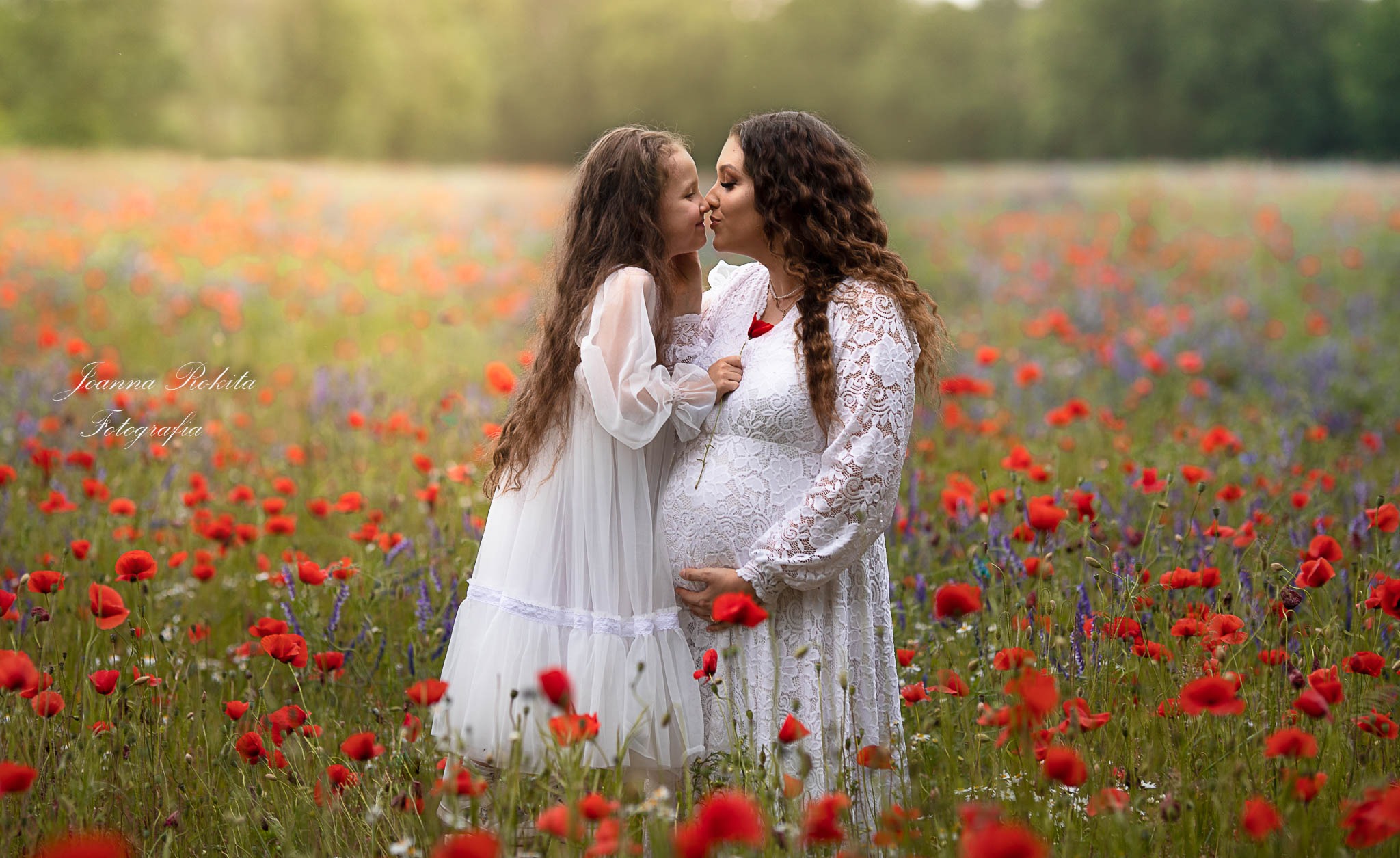 Córka całuje w nos ciężarną mamę w białej, koronkowej sukience na łące maków w Chojnowie, trzymającą czerwonego maku.