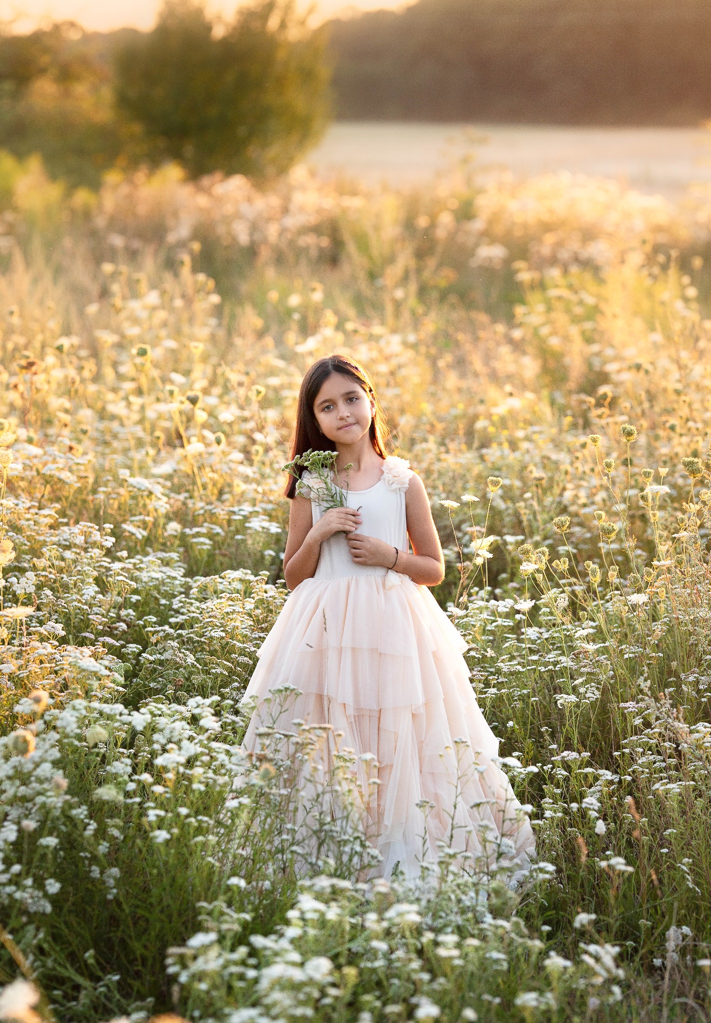 Dziewczynka w długiej, warstwowej sukience stoi na łące pełnej białych kwiatów, trzymając w rękach bukiecik polnych kwiatów, delikatne, złote światło zachodzącego słońca.