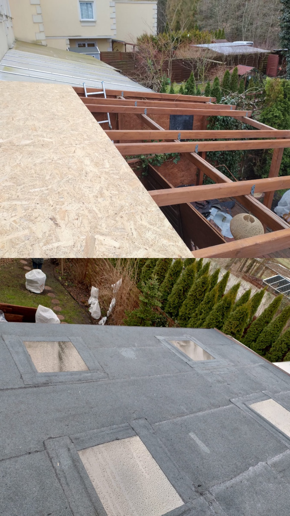 Dach z papy z oknami dachowymi, fragment konstrukcji drewnianej dachu i płyta OSB w trakcie prac dekarskich, widok z góry na ogród z iglakami.