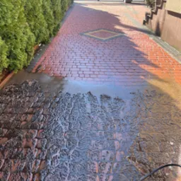 Częściowo umyta, czerwona kostka brukowa na podjeździe, widoczny brud i woda, w tle żywopłot z tui i brama wjazdowa.