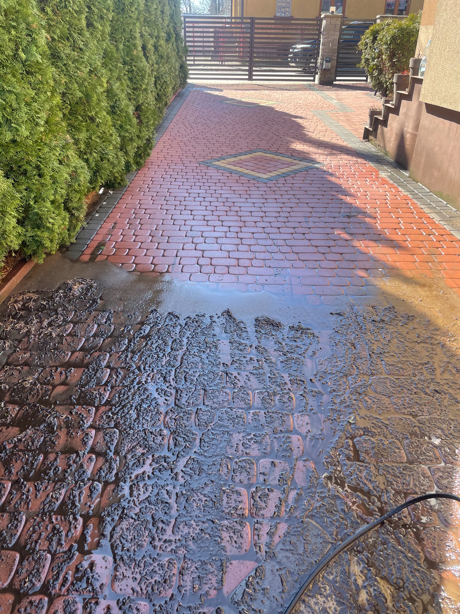 Częściowo umyta, czerwona kostka brukowa na podjeździe, widoczny brud i woda, w tle żywopłot z tui i brama wjazdowa.