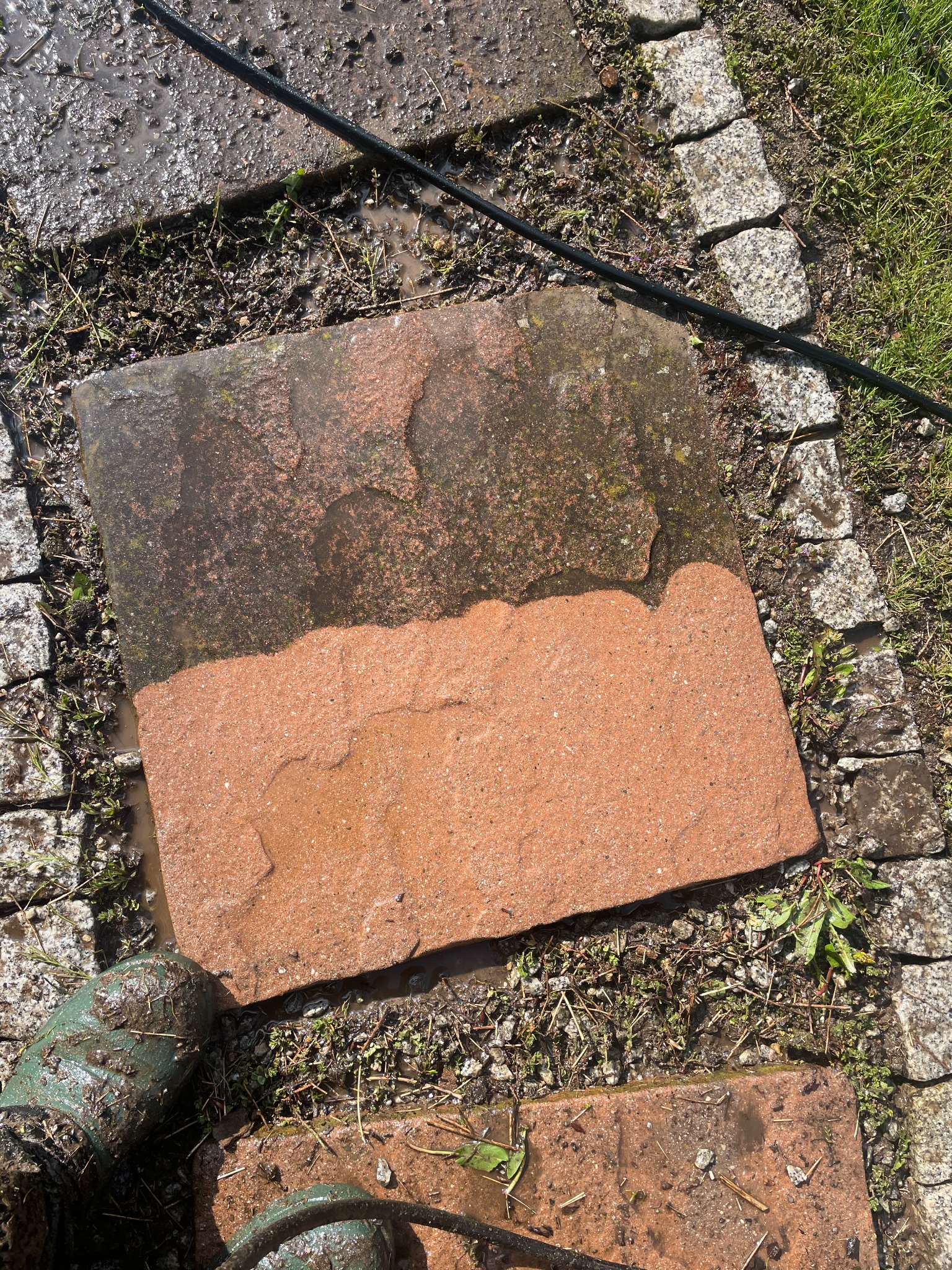 Częściowo wyczyszczona, czerwona płyta chodnikowa, kontrastująca z brudną, ciemną górną połową, otoczona mokrą kostką i trawą, z widocznym wężem ogrodowym i fragmentem brudnego buta.