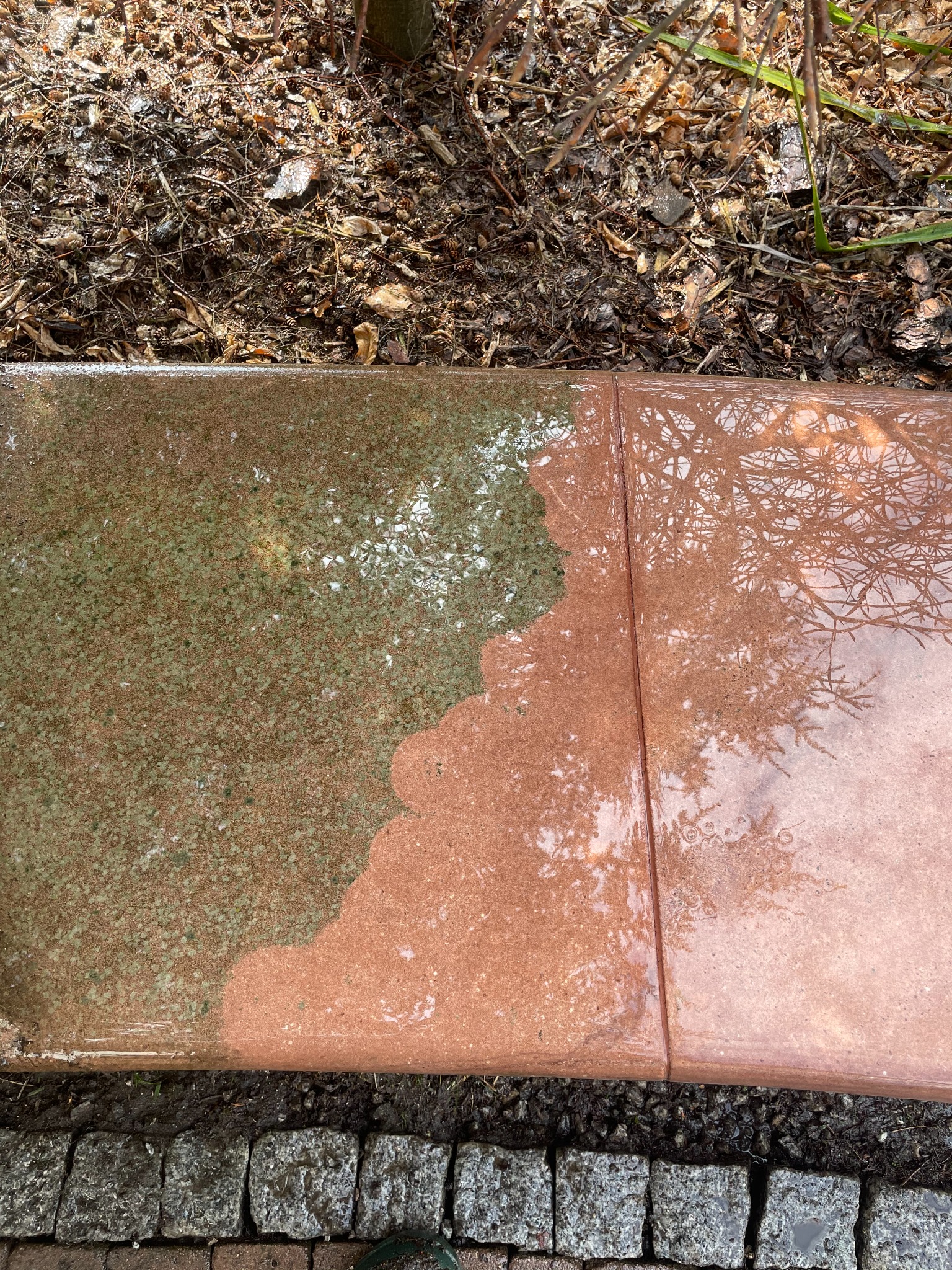 Częściowo wyczyszczona, mokra kostka brukowa z widocznym efektem przed i po czyszczeniu, z brudną, zieloną naleciałością po lewej stronie i czystą, czerwoną po prawej, z odbiciem gałęzi drzewa.