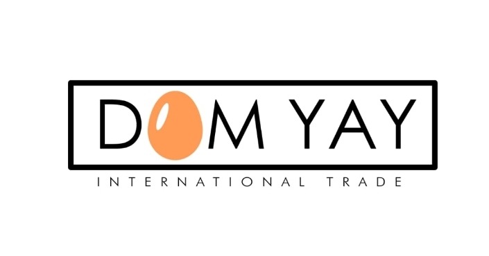 Logo firmy Dom Yay International Trade z pomarańczowym jajem zamiast litery O, w czarnej ramce.
