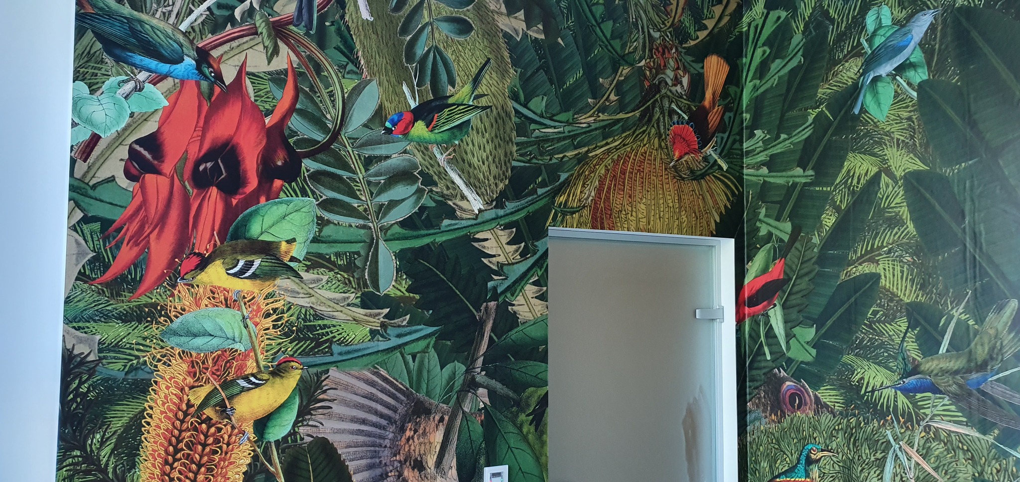 Wzorzysta tapeta w tropikalne liście i ptaki, przylegająca do białej ściany i framugi drzwi.