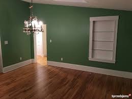 Pusty pokój z odświeżonymi, zielonymi ścianami, parkietem i białymi listwami przypodłogowymi, widoczny żyrandol i otwarte drzwi do kolejnego pomieszczenia.