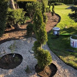 Wycinka drzew Toruń 3