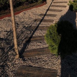 Wycinka drzew Toruń 4