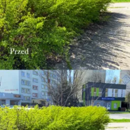 Kadr przedstawia por&oacute;wnanie stanu żywopłotu przed i po przycięciu. G&oacute;rna część zdjęcia pokazuje gęsty, nieuformowany żywopłot, natomiast dolna prezentuje ten sam żywopłot po strzyżeniu, z wyraźnie...