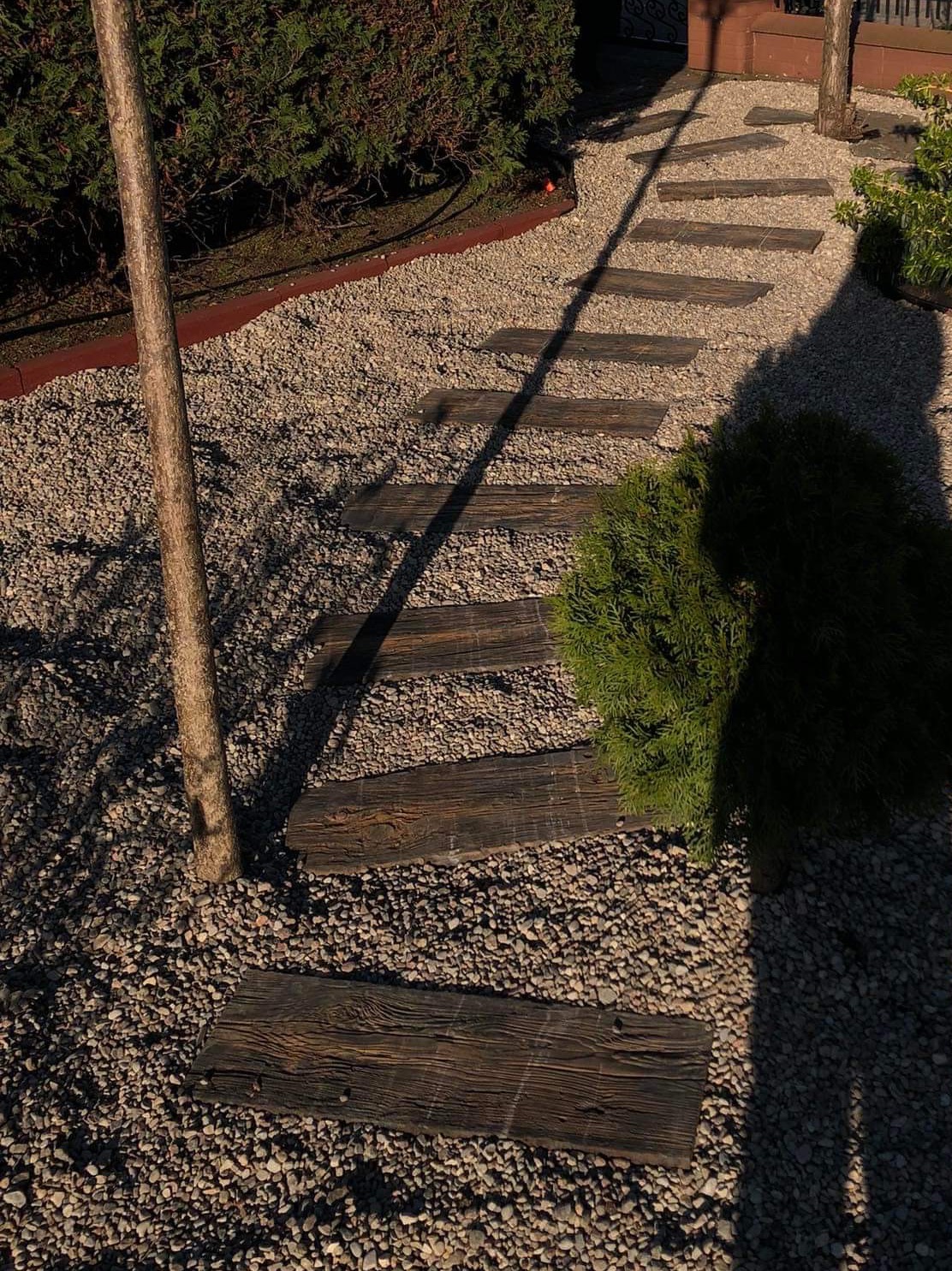 Ścieżka w ogrodzie z drewnianych płyt ułożonych na żwirze, z młodą rośliną iglastą po prawej stronie i cienkim drzewkiem po lewej, oświetlona popołudniowym słońcem.