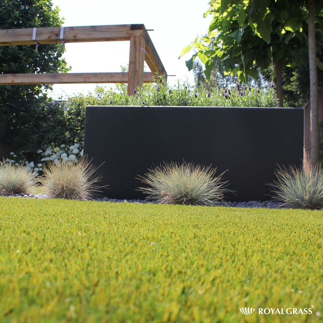 Nowoczesny ogród z czarną donicą, ozdobnymi trawami, drewnianą pergolą i zielonym trawnikiem Royal Grass.