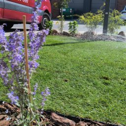 Pielęgnacja ogrodów Wrocław 2