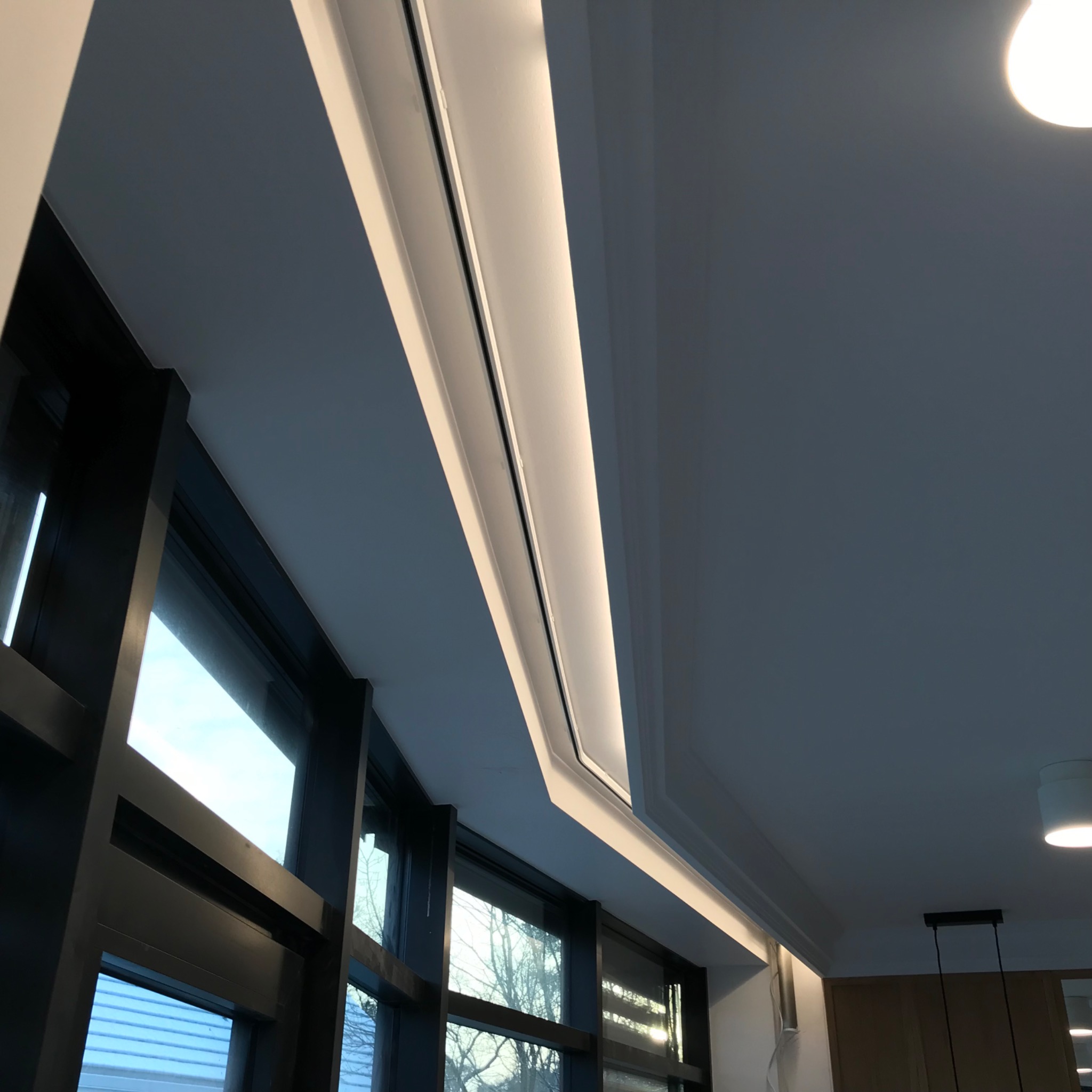 Nowoczesne okno z czarną ramą, oświetleniem sufitowym LED i widokiem na drzewo bez liści.