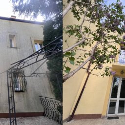 DEN-PRO Denys Demchuk - Zdjęcie elewacji budynku podzielone na dwie części: lewa strona przed myciem (zabrudzona), prawa strona po myciu (czysta), z elementami dekoracyjnymi i roślinnością.