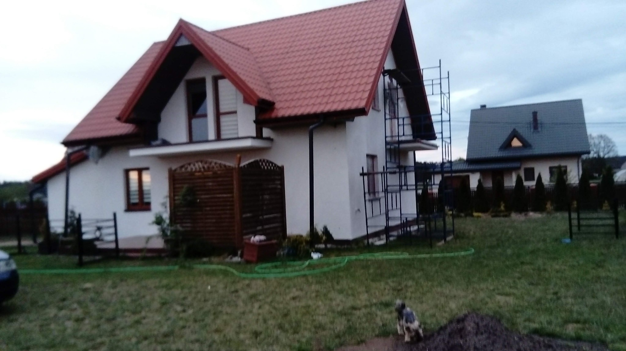 Dwukondygnacyjny dom z czerwonym dachem i białymi ścianami, w trakcie prac elewacyjnych, z widocznym rusztowaniem przy ścianie bocznej, na trawniku wąż ogrodowy i mały pies.