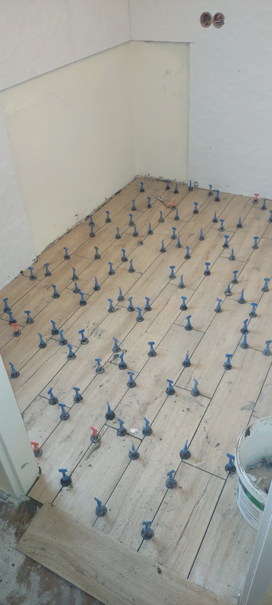 Układanie płytek podłogowych w jasnym odcieniu drewna, z użyciem niebieskich i czerwonych klipsów poziomujących, widoczny fragment ściany i wiadro z zaprawą.