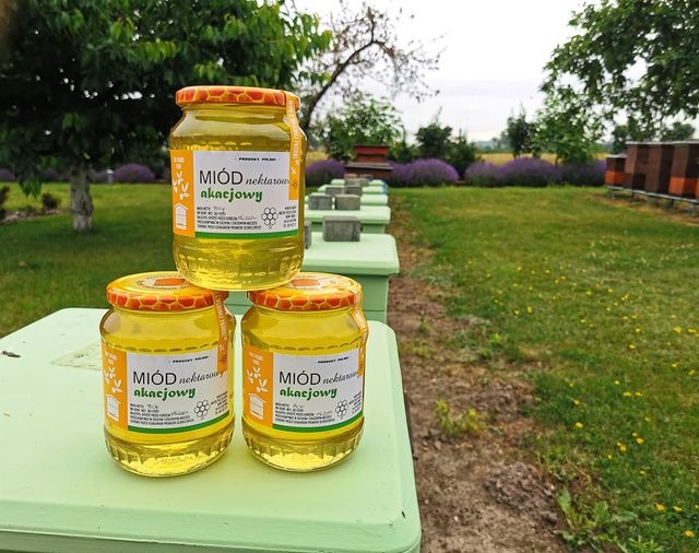 Trzy słoiki miodu akacjowego ustawione na zielonym ulu, w tle pasieka z lawendą.