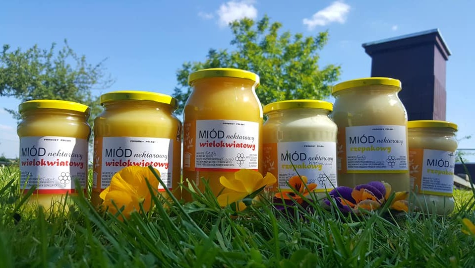 Słoiki z różnymi rodzajami miodu nektarowego (wielokwiatowy, rzepakowy) na trawie z kolorowymi kwiatami, w tle błękitne niebo i zielone drzewa.