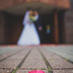 RAFIDEX Sp. z o.o. - Pojedynczy płatek róż na brukowanej ścieżce, w tle rozmazana para młoda wychodząca z budynku.