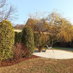 Nasze Ogrody Monika Wcisło - Perfekcyjne Sadzenie Roślin Trzebnica