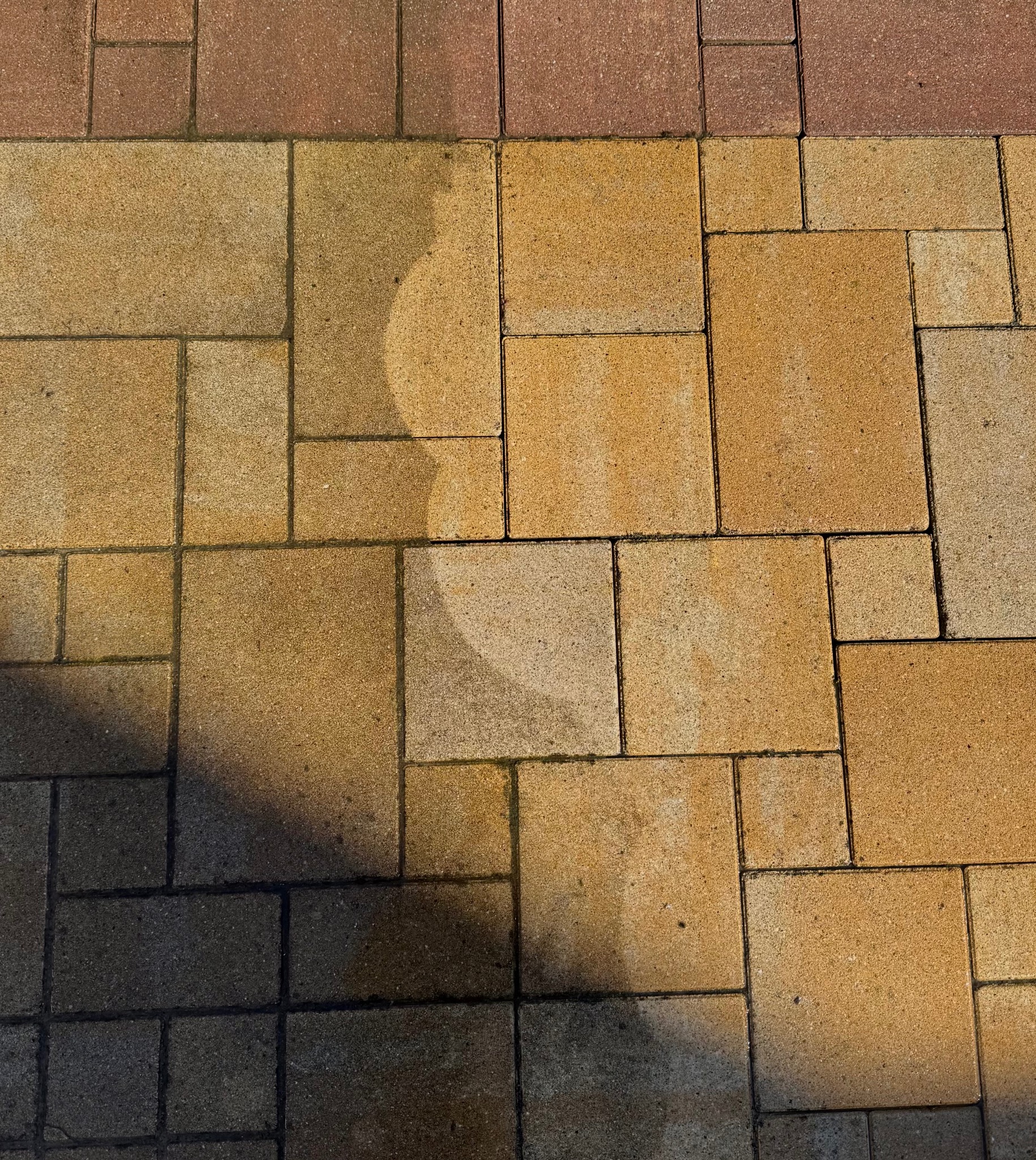Fragment powierzchni z kostki brukowej w odcieniach beżu i brązu, z widocznym cieniem i śladami wilgoci po niedawnym czyszczeniu.